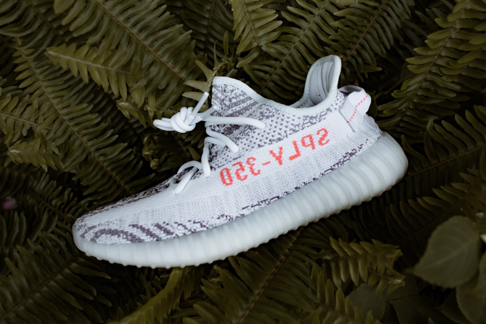frozen yellow Adidas Yeezy Boost v2's on white bedspread photo – Free Style  Image on Unsplash