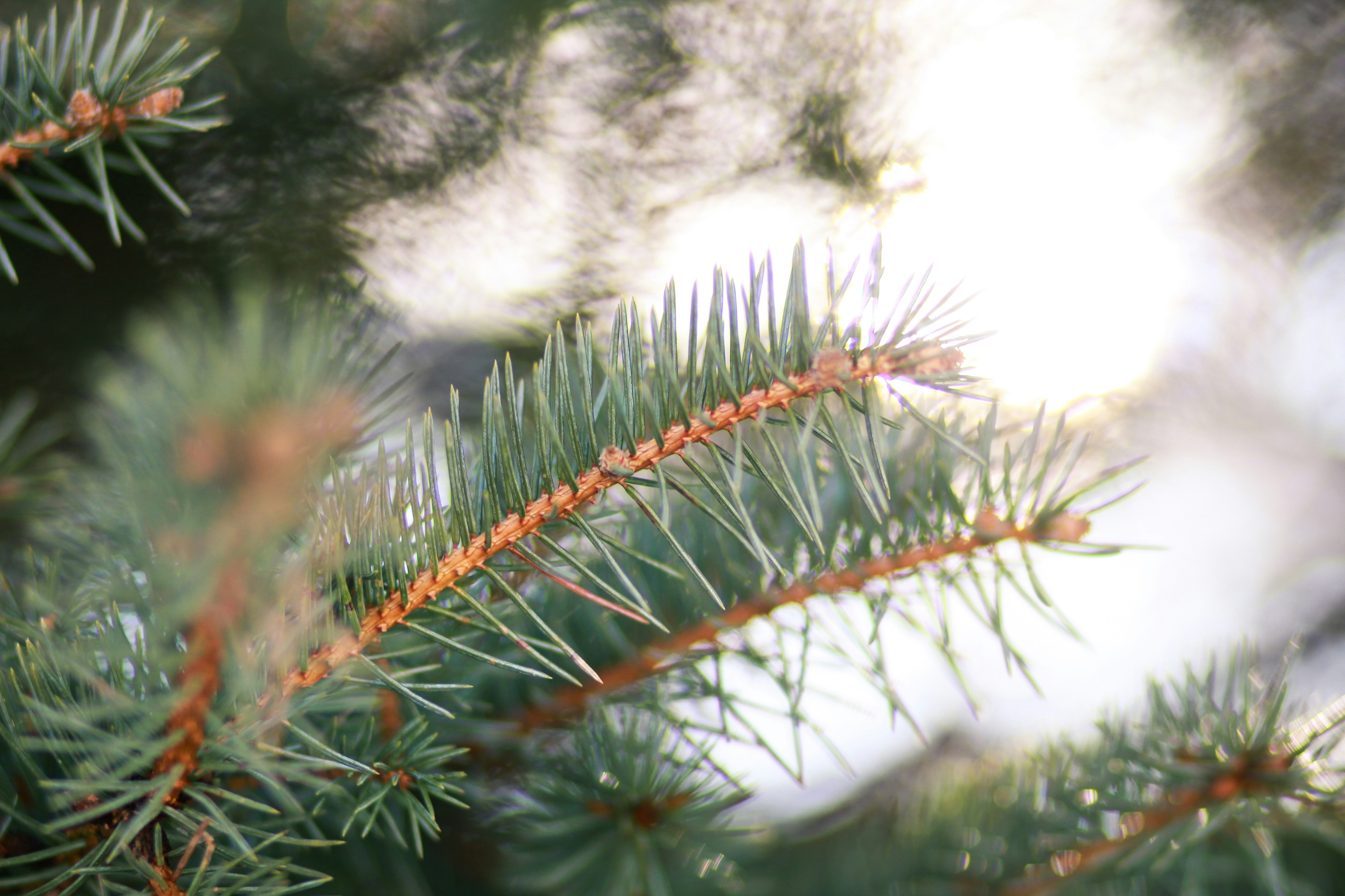 Photo by meghanschiereck