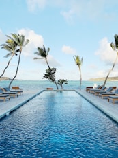 close-up photography of swimming pool