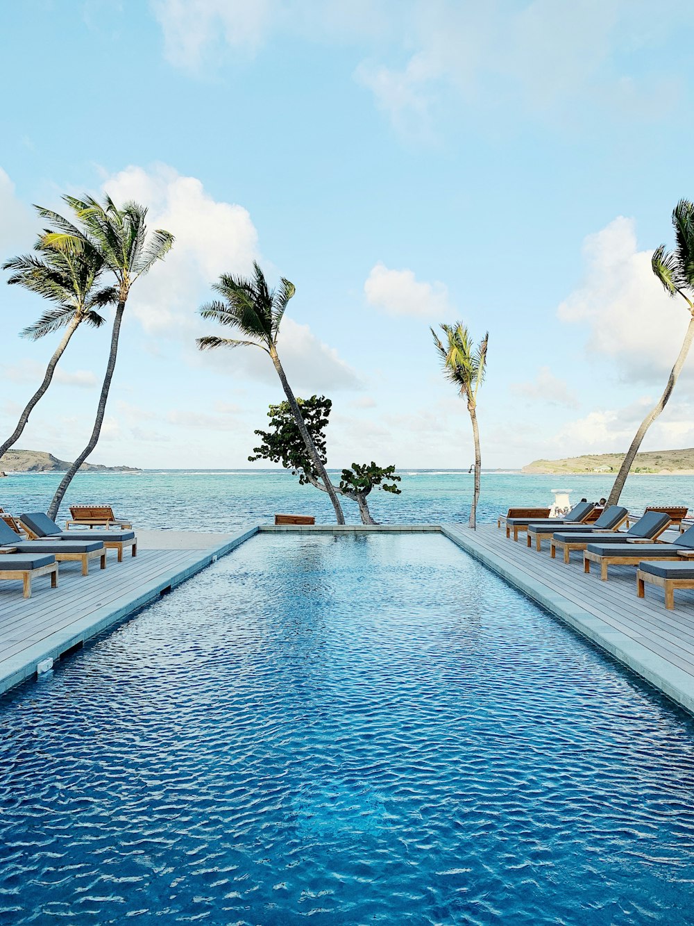 close-up photography of swimming pool