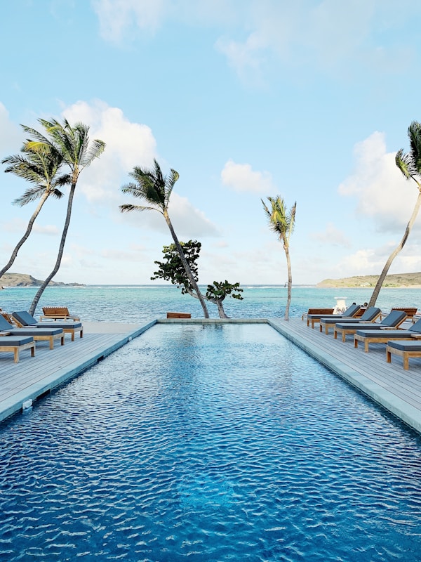 Piscine de luxe avec palmiers face à l'océan