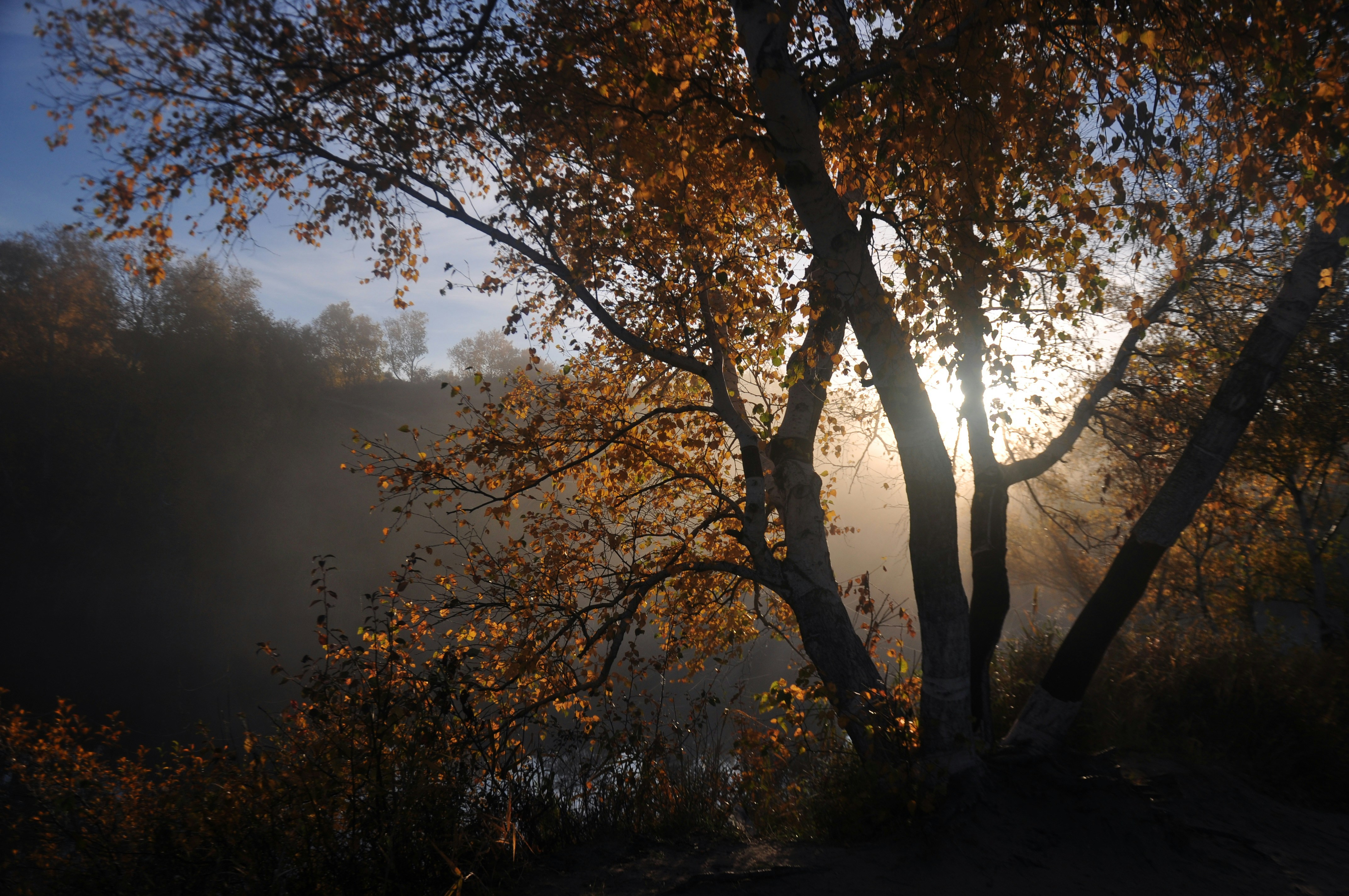 Photo by zhangweige46