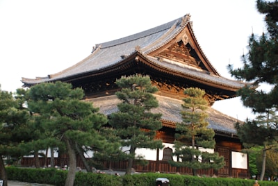 An elegant heritage revival residence featuring traditional Indian architectural details surrounded by forest.