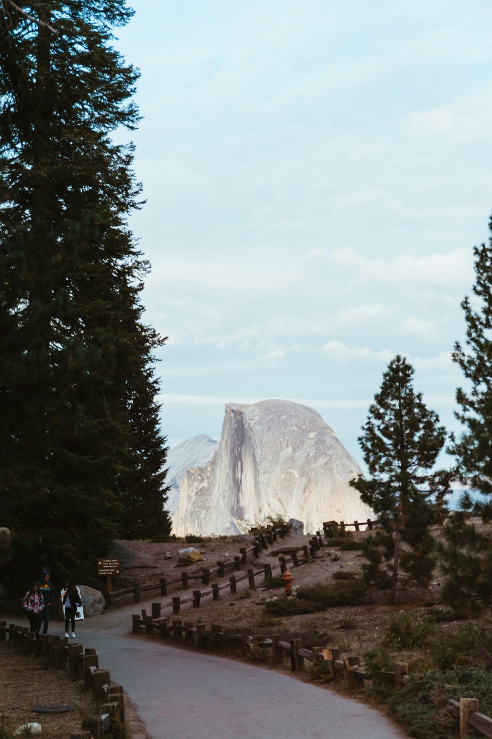 two person walking on pathway