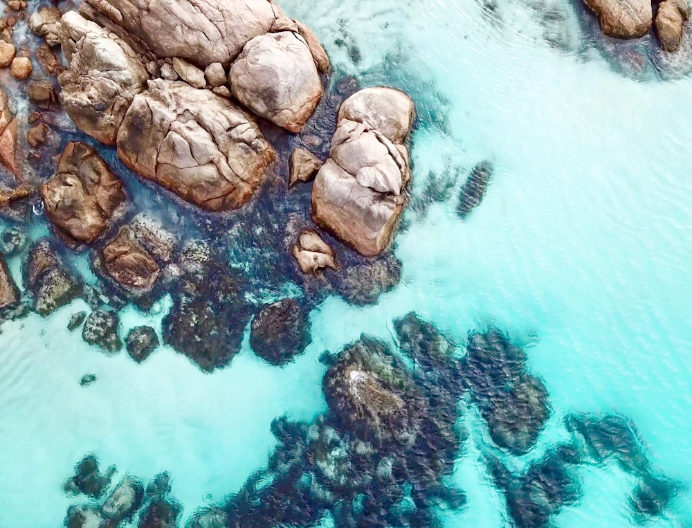 rochers sur la mer