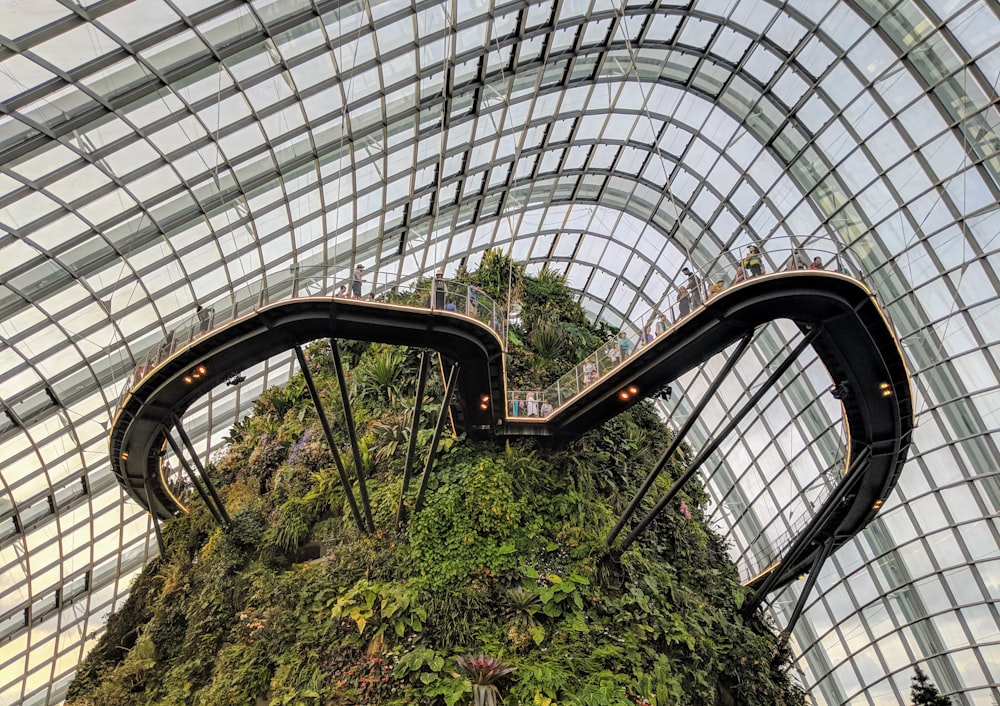 a very tall plant covered building with a walkway going up it's side