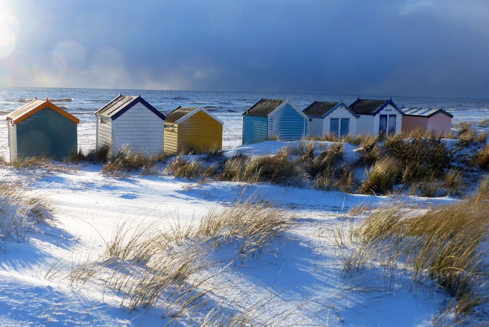 assorted-color of houses on snow field