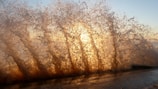 Water splashes dramatically against a surface, capturing sunlight that causes the droplets to glow with warm hues. The scene creates an interplay of light and water, resulting in a dynamic and visually striking pattern.