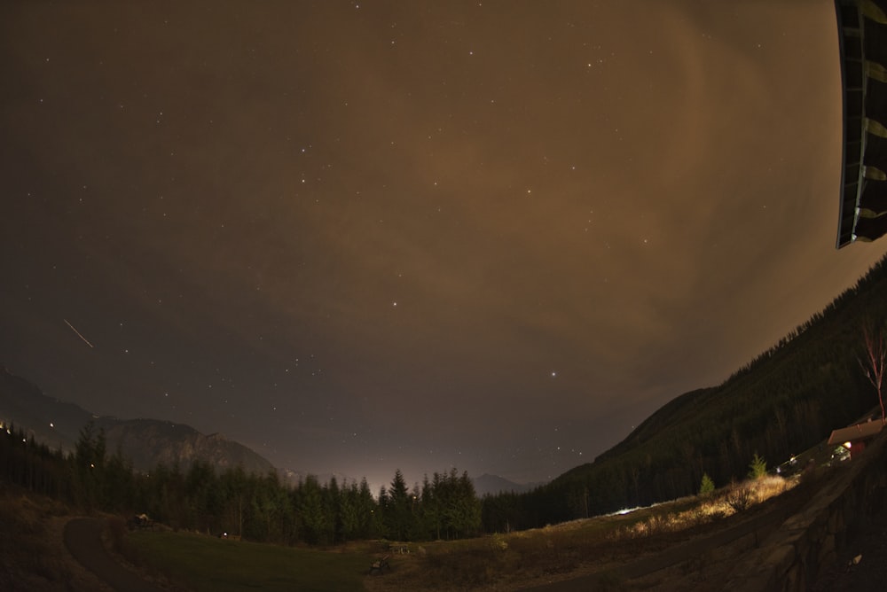 fish eye lens photography of trees