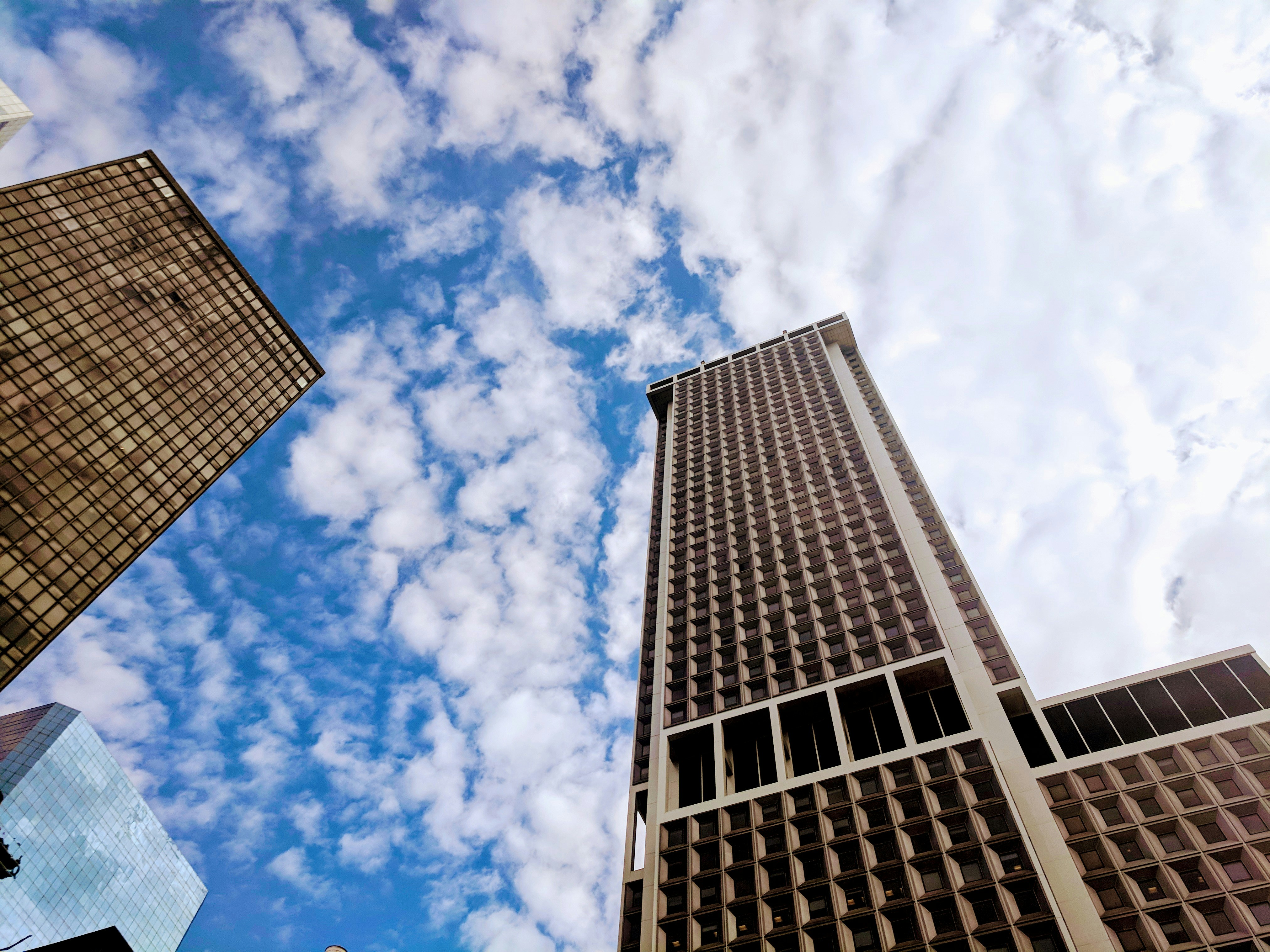 Photo by sophiajmars