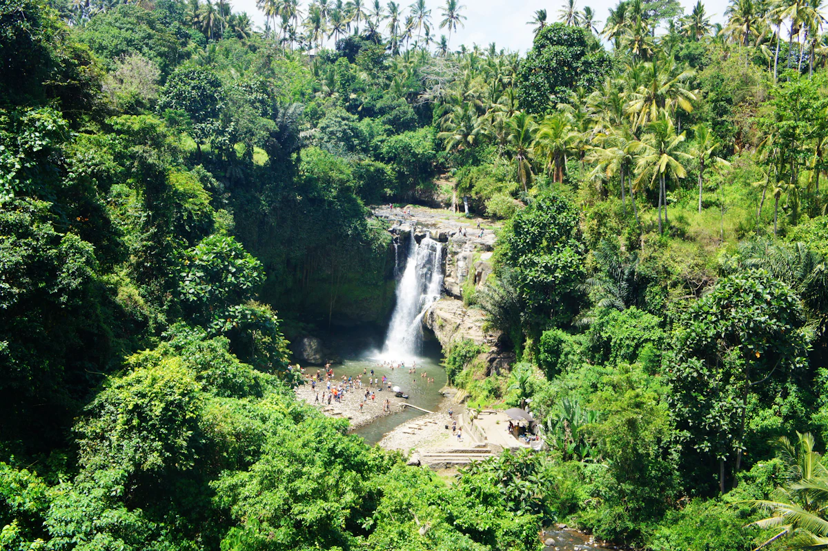 Air terjun di tengah hutan tropis Bali