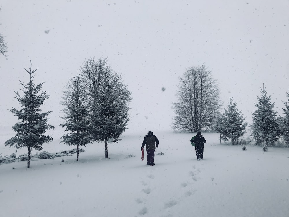 two person's walking on snow