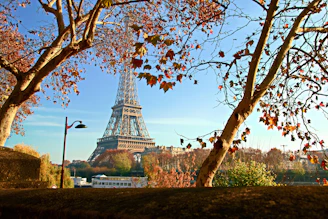 Eiffel Tower at Paris