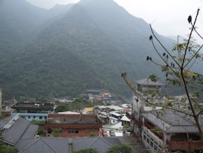 A quaint village with traditional buildings is nestled at the base of a lush, green mountain. Rooftops with grey tiles dominate the foreground, interspersed with trees and vegetation. In the distance, a larger structure with ornate, Asian-style architecture is partially visible. The sky is overcast, casting a soft light over the scene.