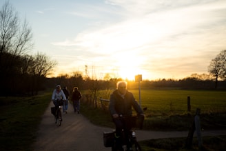Cyclists riding high-end Specialized bikes through a scenic forest trail at sunset.