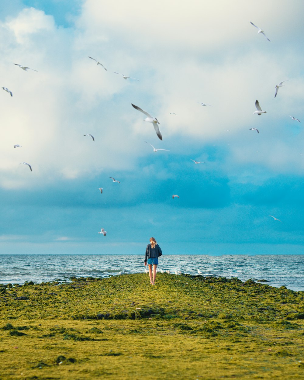 Donna in piedi sulla scogliera con gli uccelli che volano sotto il mare