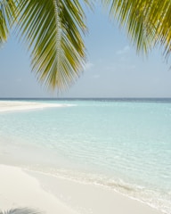 A tranquil beach with turquoise waters and palm trees swaying gently.