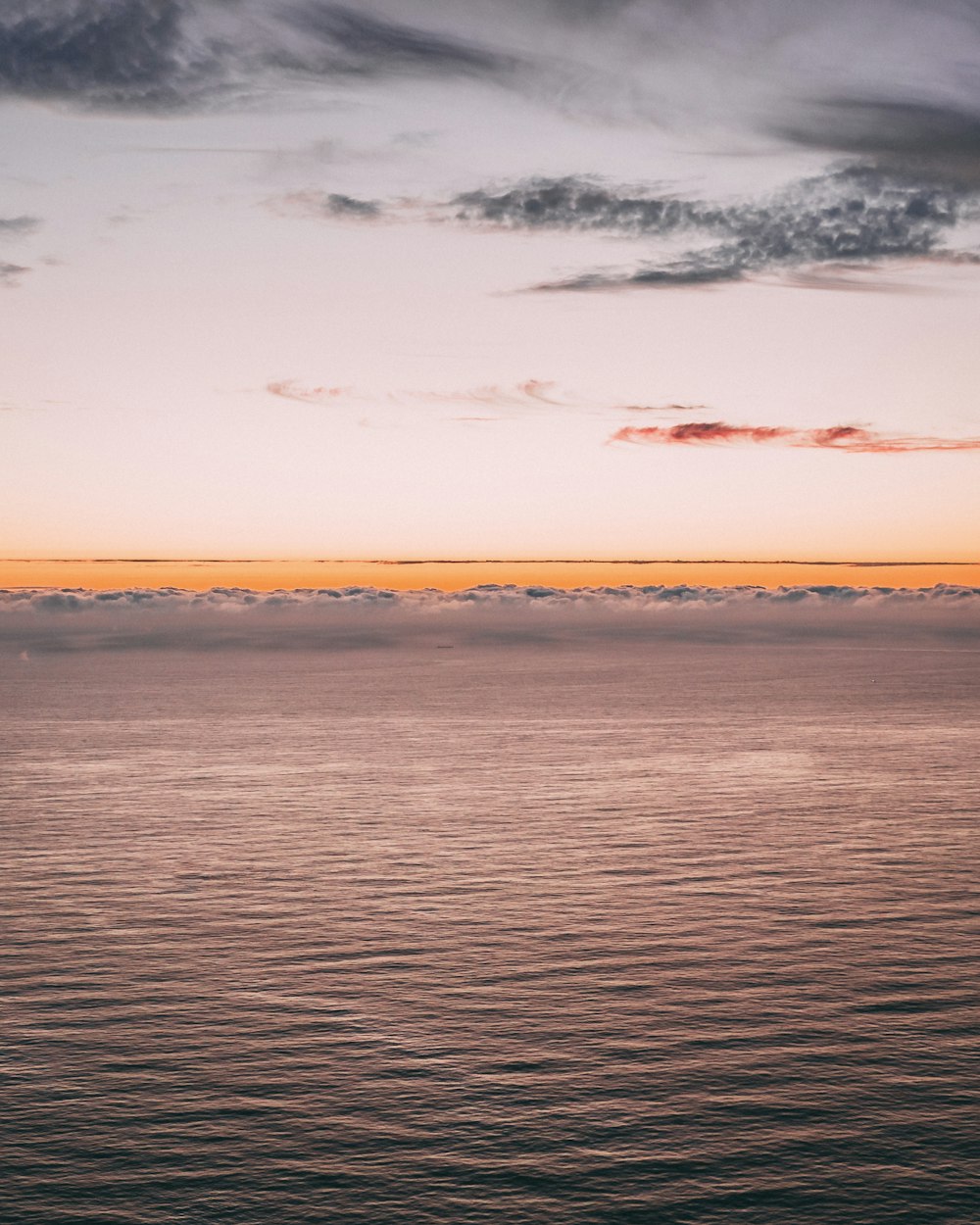 body of water during daytime