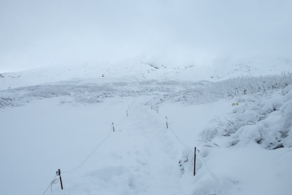 landscape photograph of snow