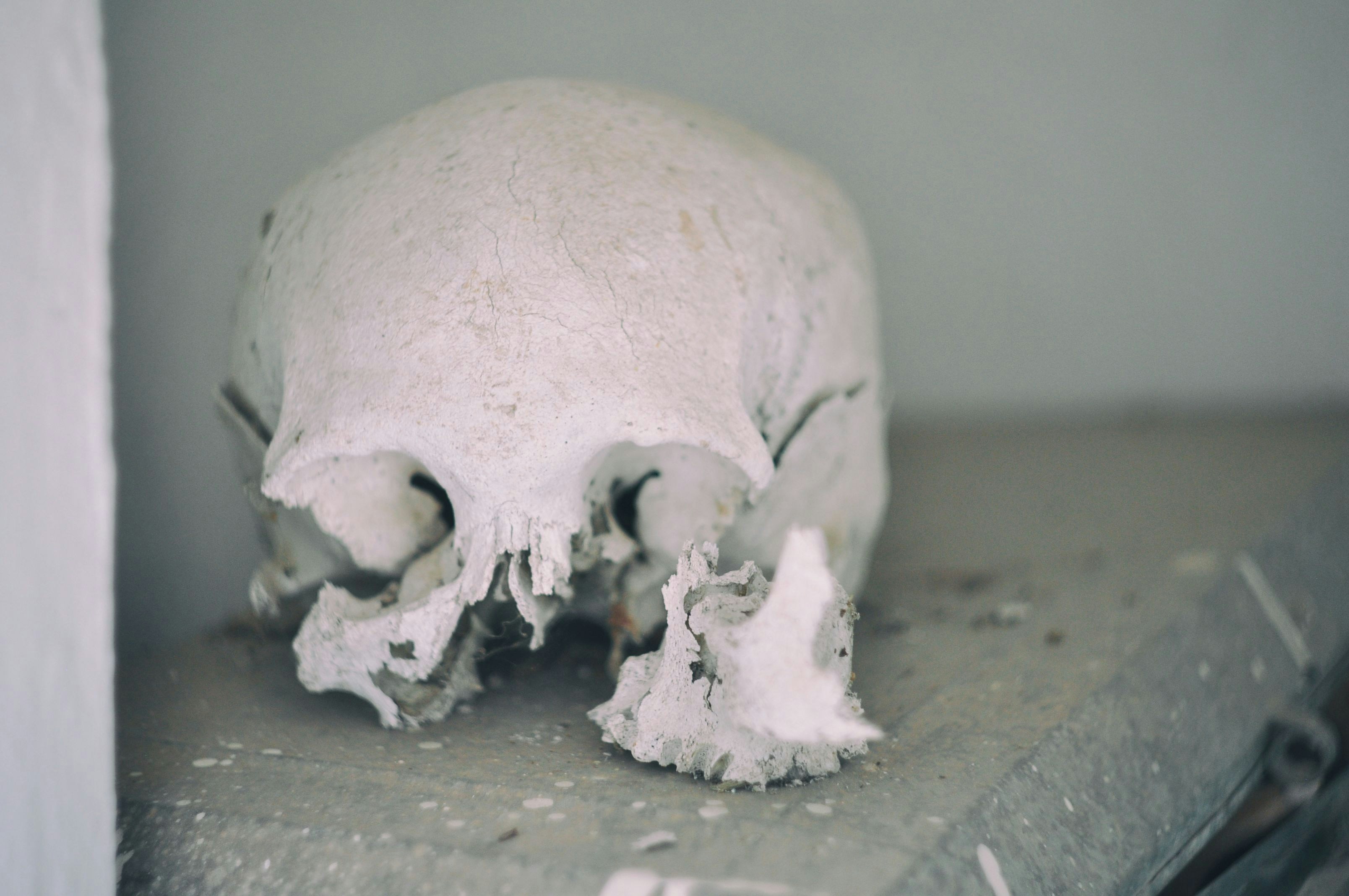 Photo by halobambino