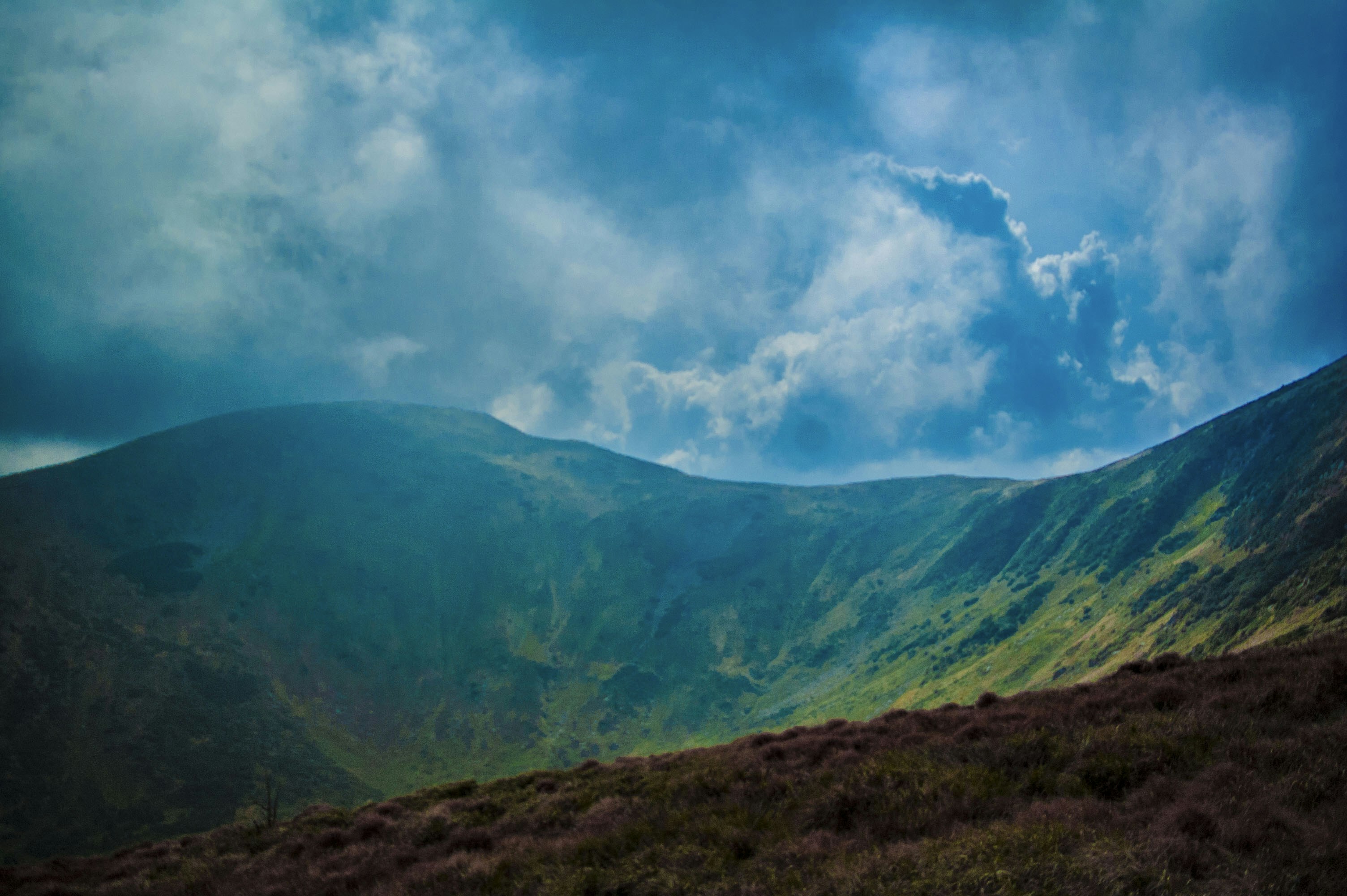 Photo by vovchik_ponchik