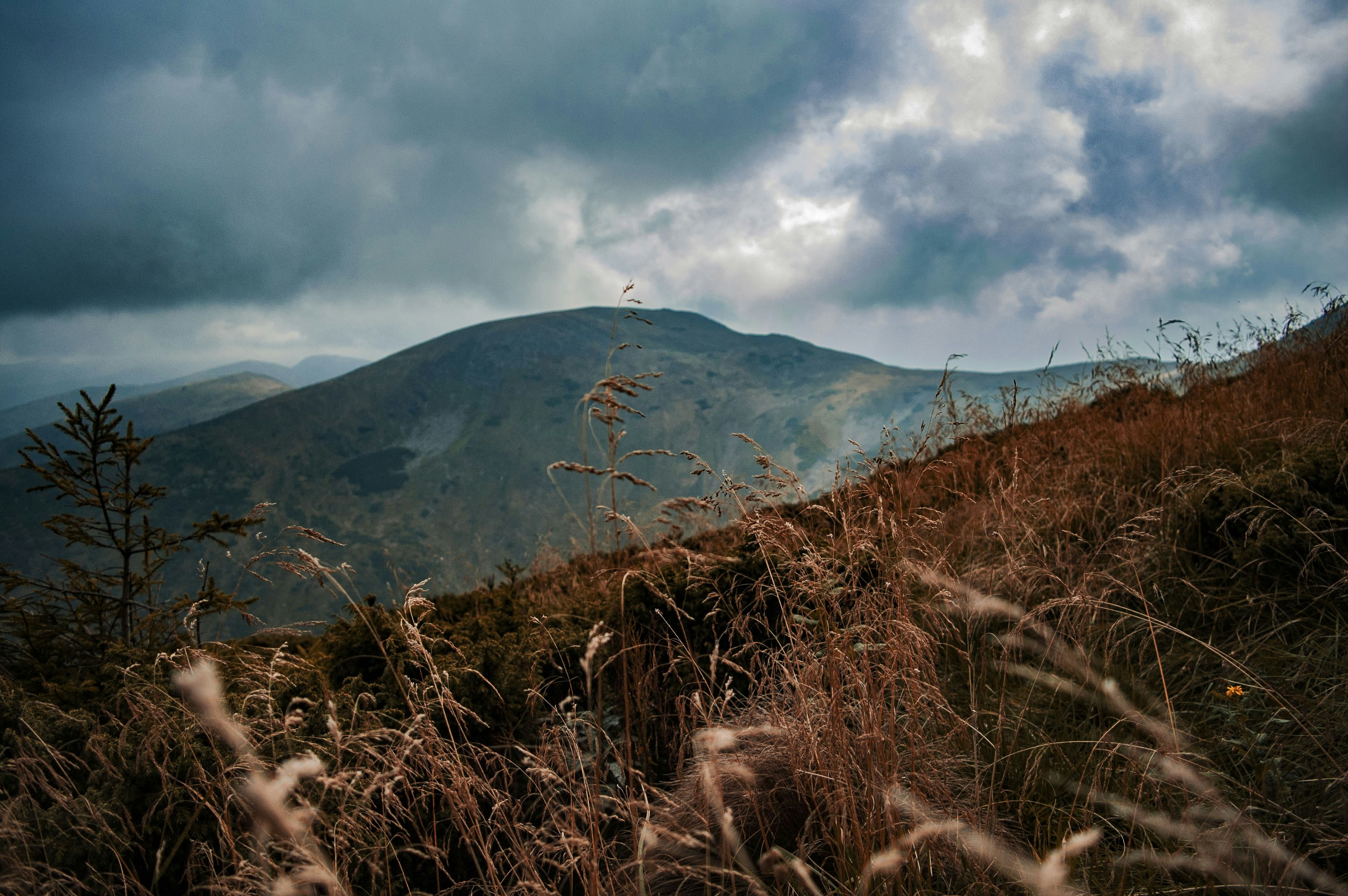 Photo by vovchik_ponchik