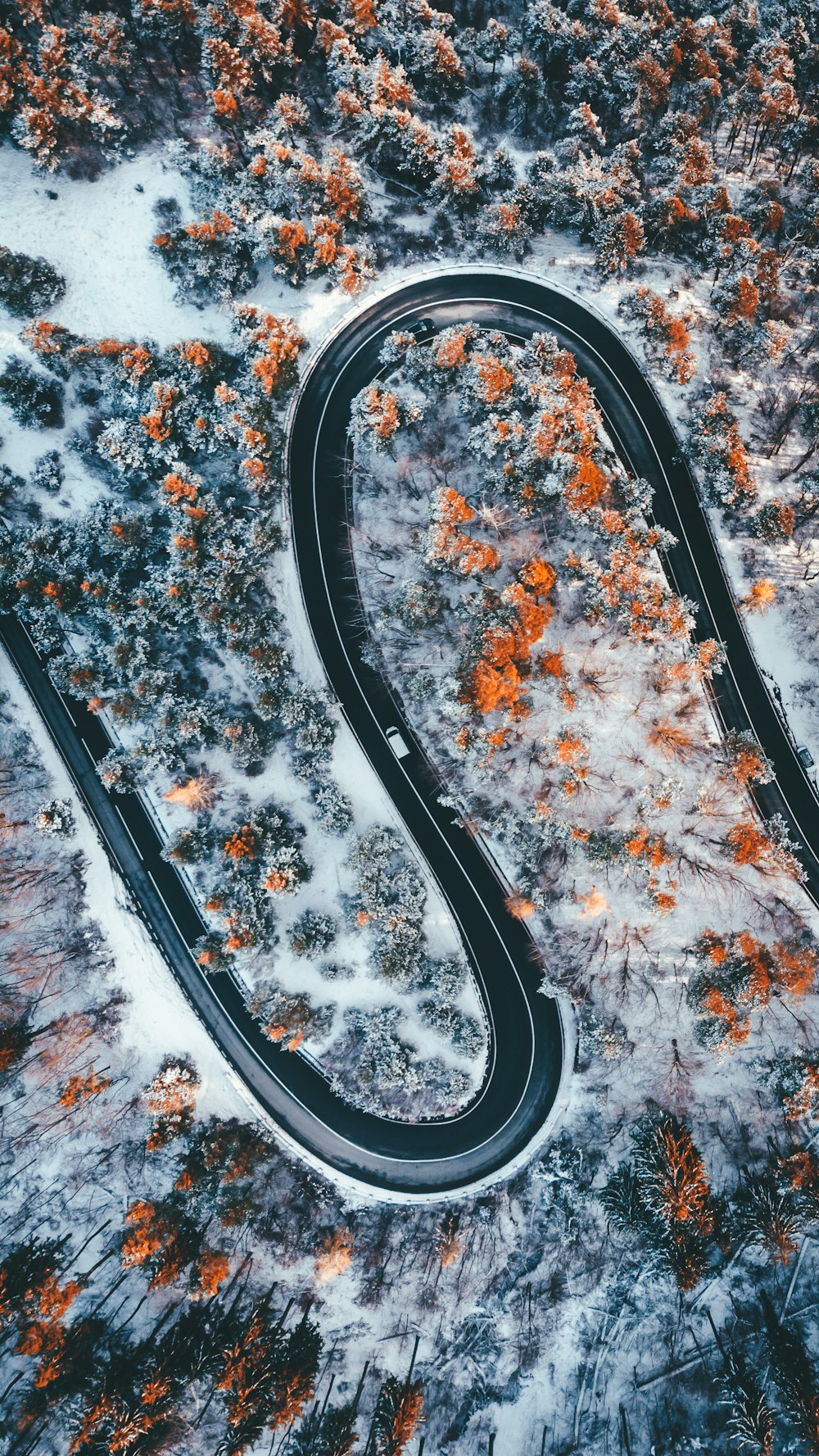 aerial photography of wavy road