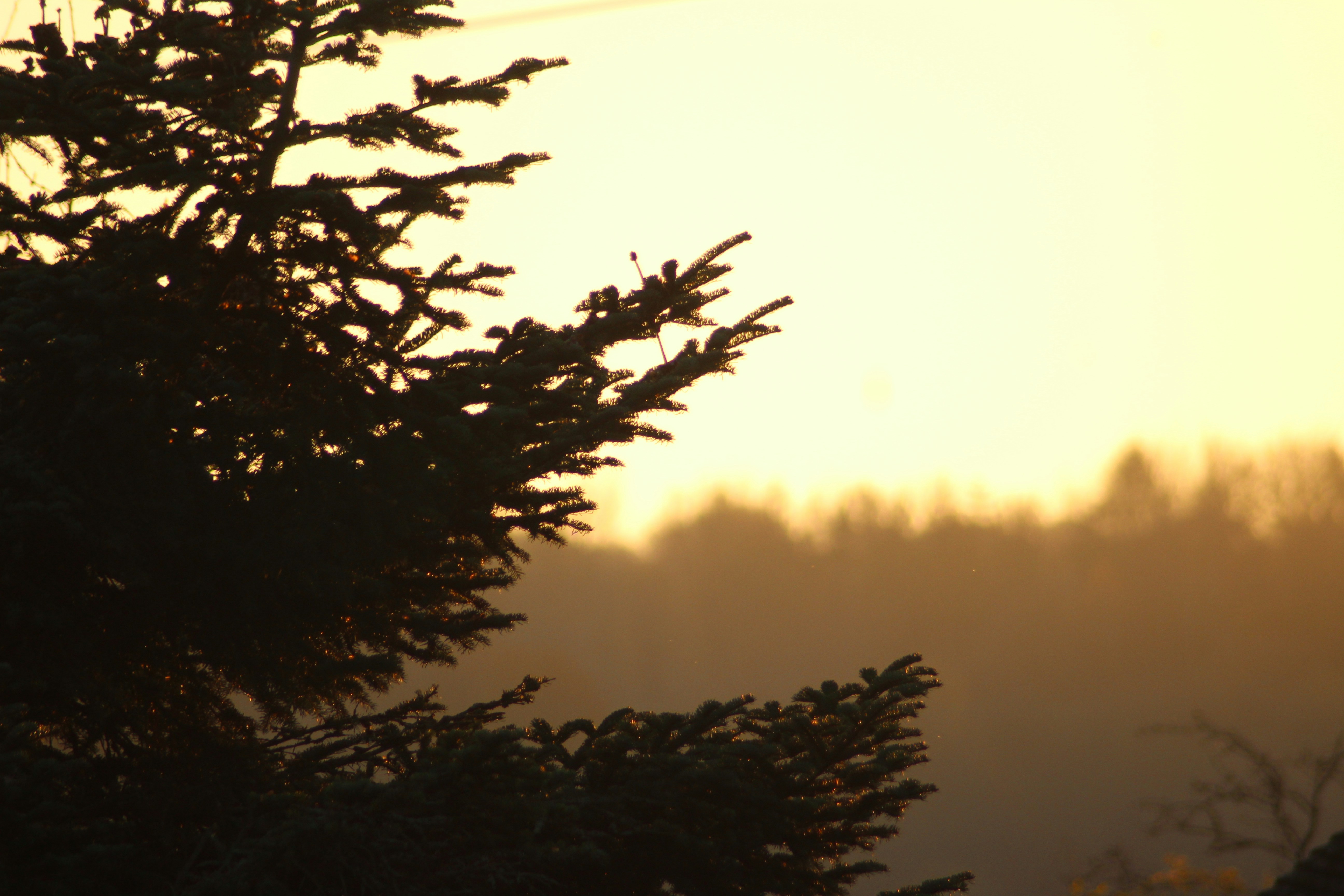 Photo by issydoherty