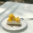 A vibrant slice of mango cheesecake garnished with fresh mango cubes and mint leaves.