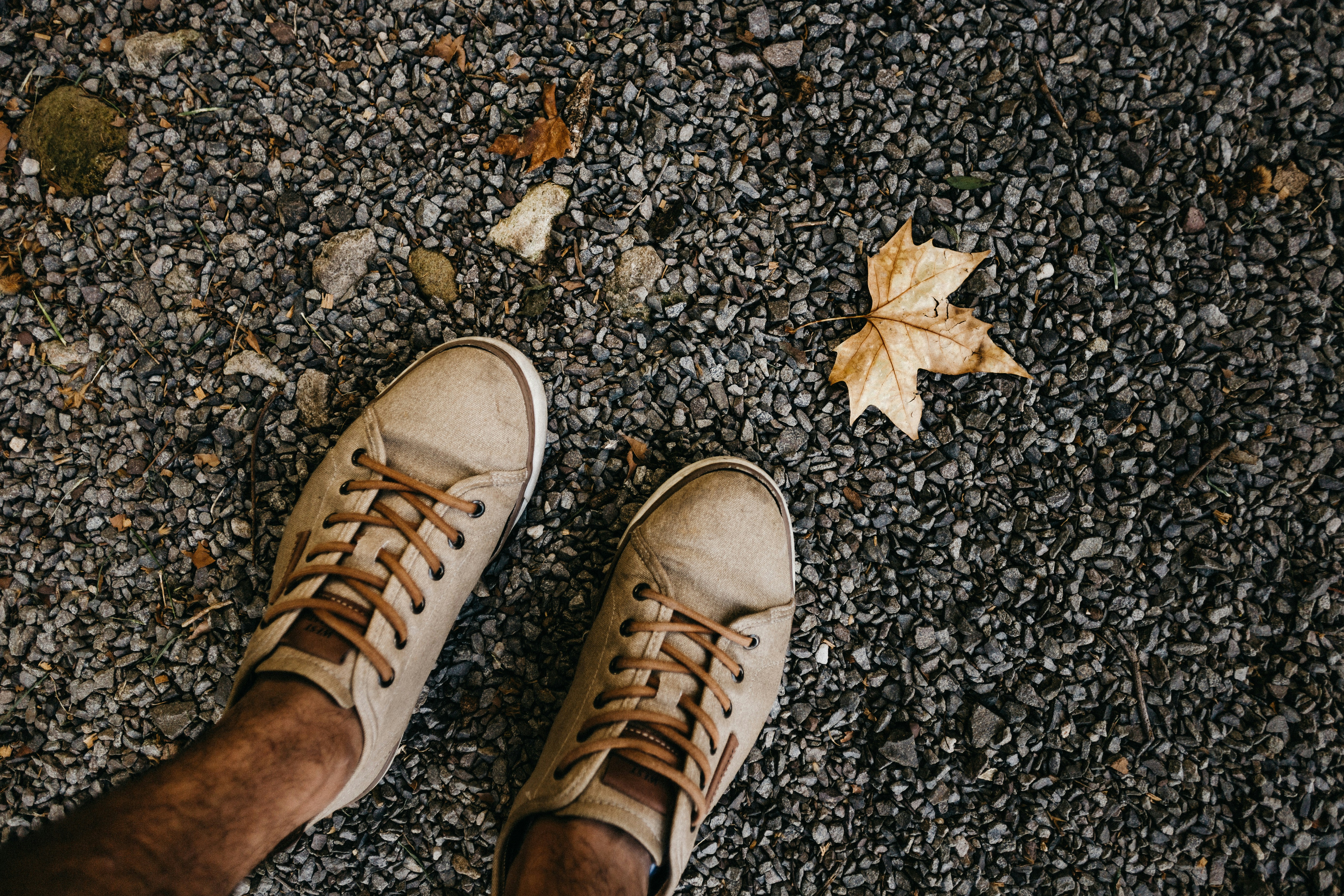 Photo by jonathanborba