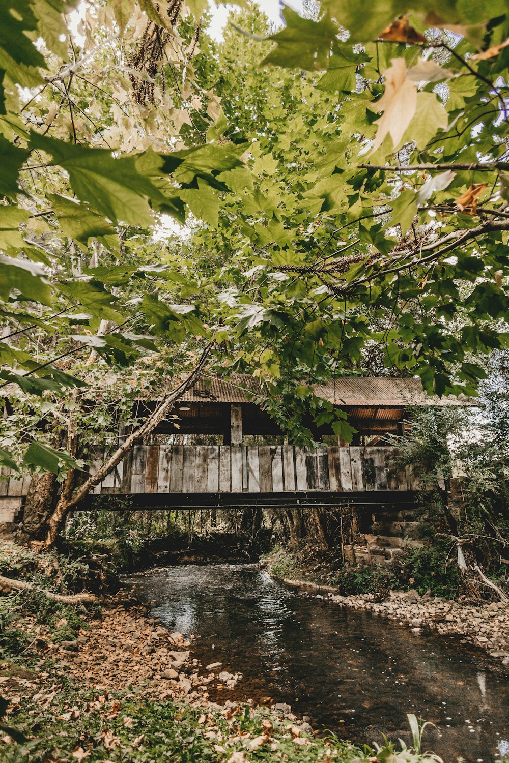 Braune Brücke in der Nähe von grünbelaubten Bäumen