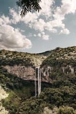 water falls beside trees in nature photography