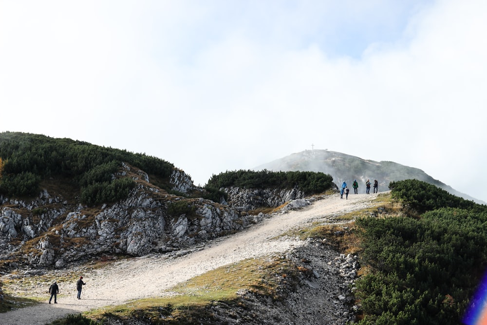 people walking on pathway