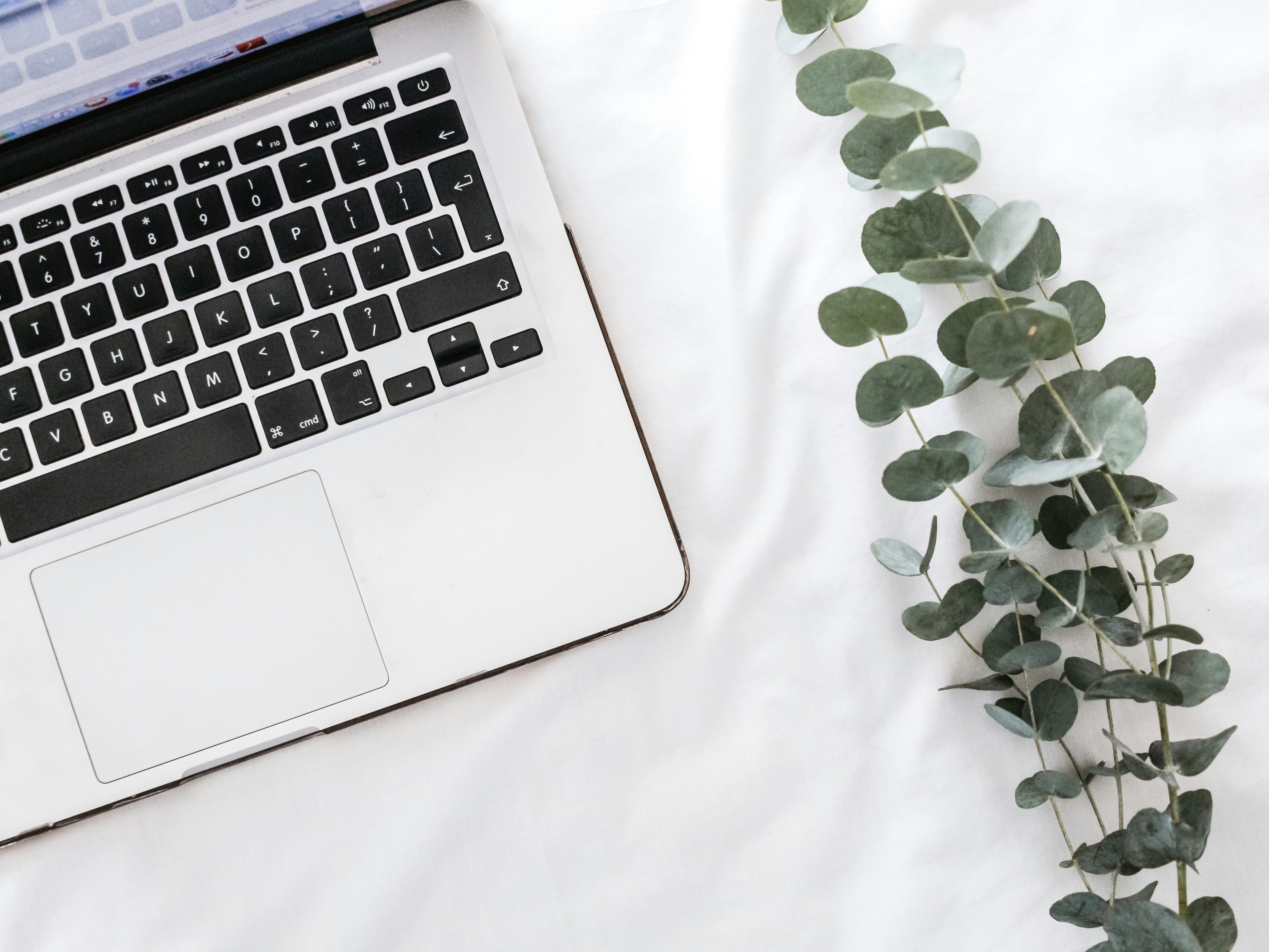 Content repurposing through blogging