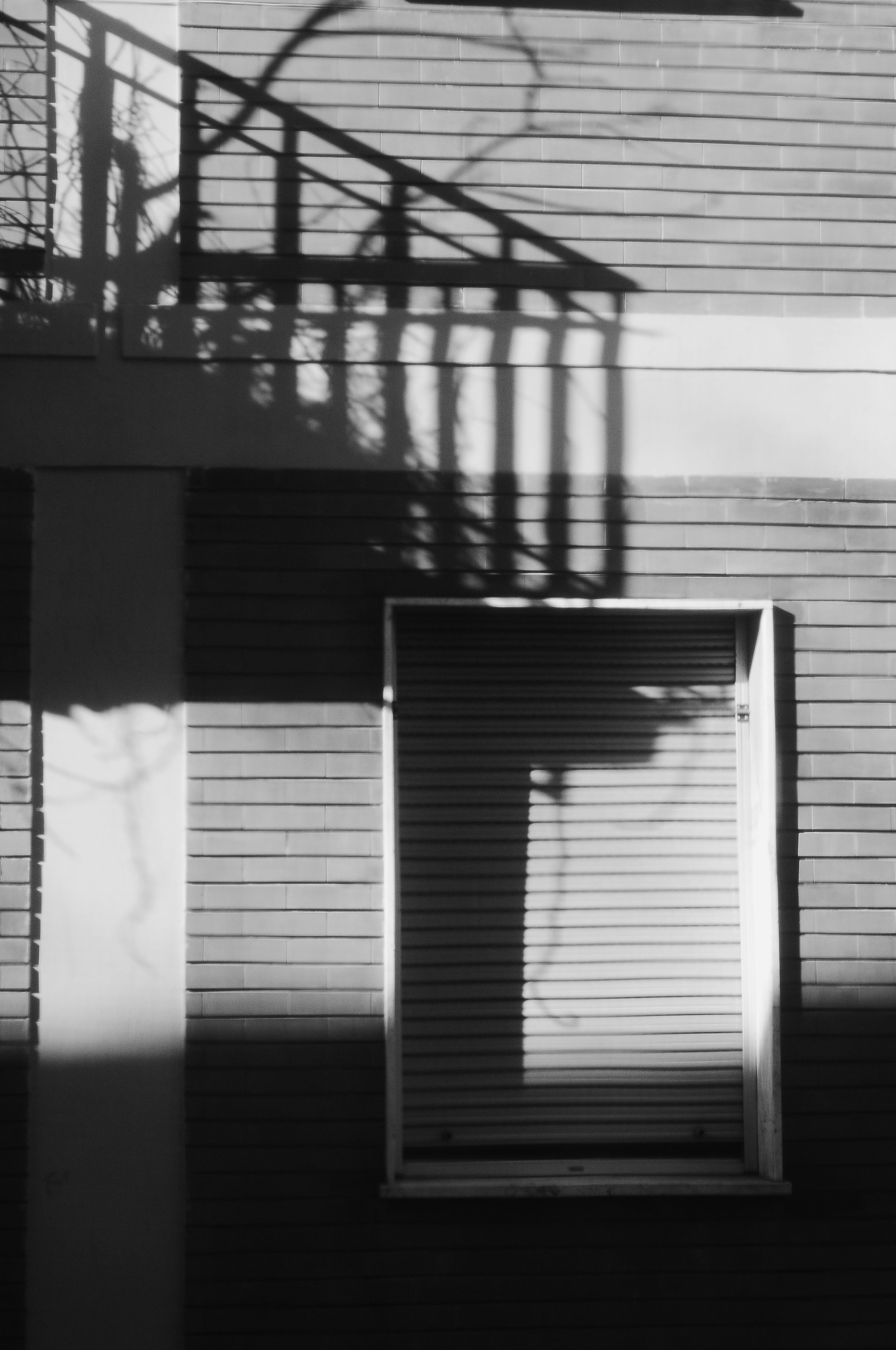 Photo by emilianovittoriosi