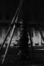 Black-and-white photo of Alejandra planting a tree with community members, evoking a 1950s newspaper feel.