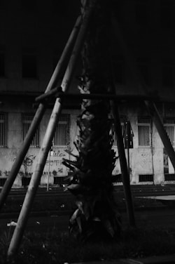 A vintage-style black and white photo of Alejandra planting a tree with children around her, evoking a 1950s newspaper feel.