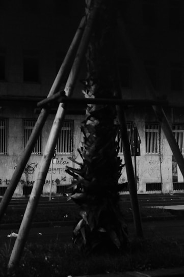 A vintage-style black and white photo of Alejandra planting a tree with children around her, evoking a 1950s newspaper feel.