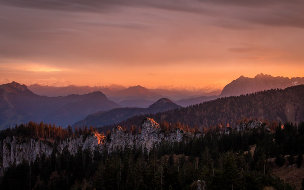 Montanha e árvores na fotografia de natureza