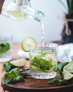 Negroni cocktail gin Campari vermouth rouge