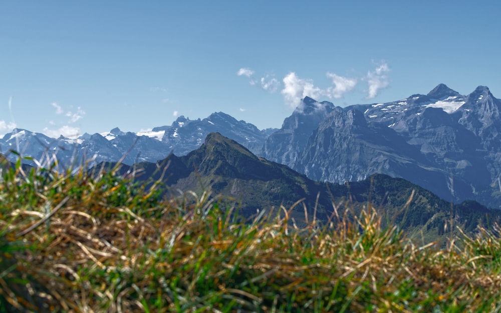 selective focus photography of mountain