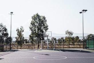 basketball court near green leaf trees