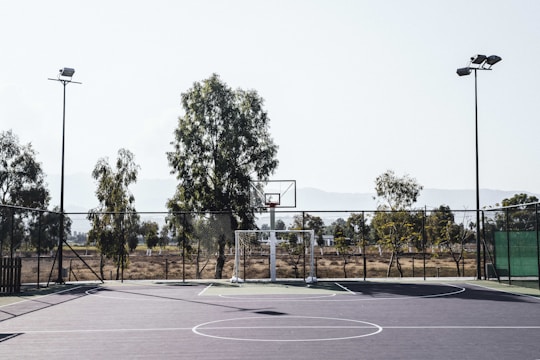 basketball court near green leaf trees