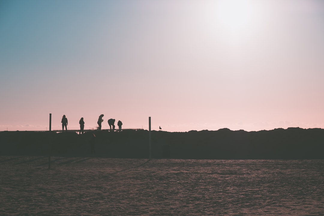 silhouette of people on desert