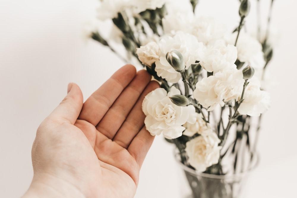 selective focus photography of white petaled flower