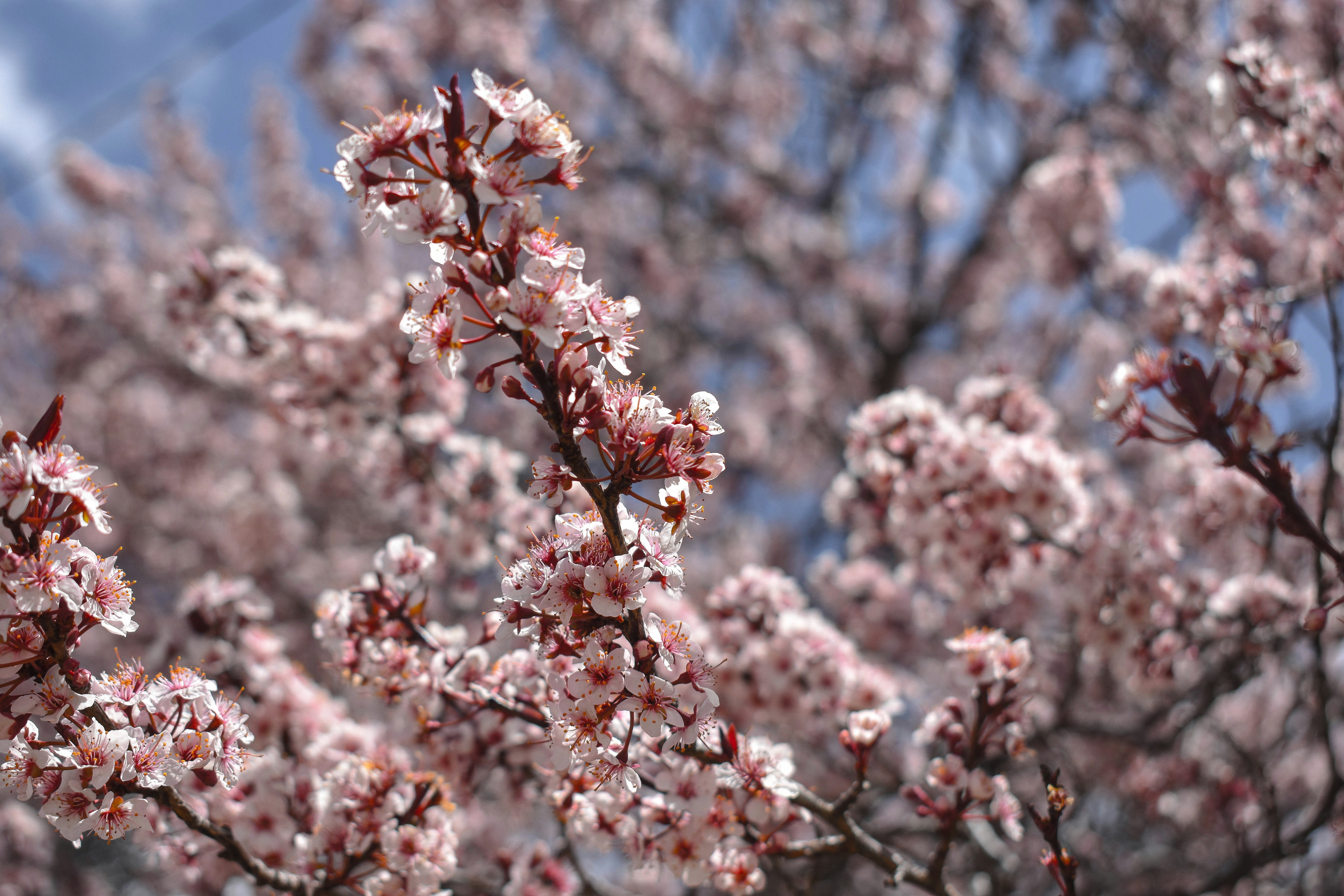 Photo by wildstallion