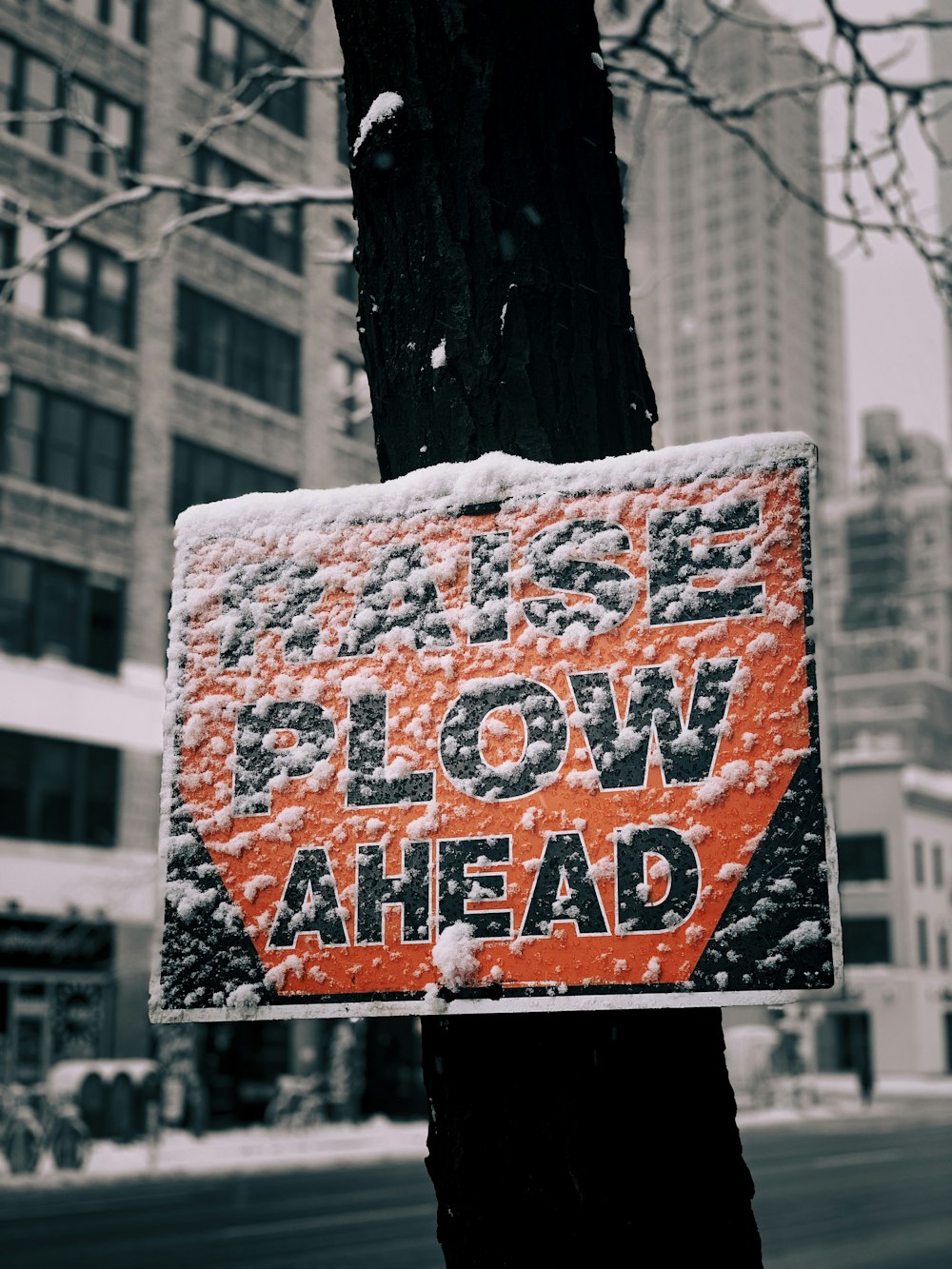 Raise Plow Ahead signage near building