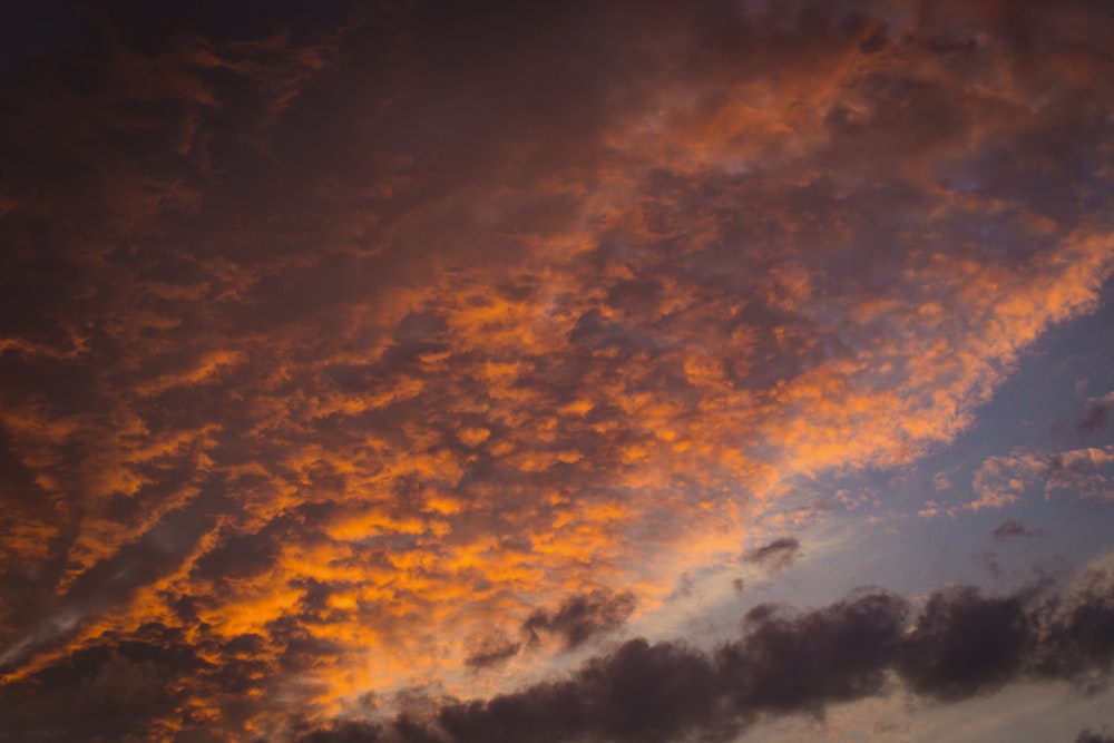 orange and gray clouds