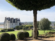 A historic castle surrounded by lush greenery.