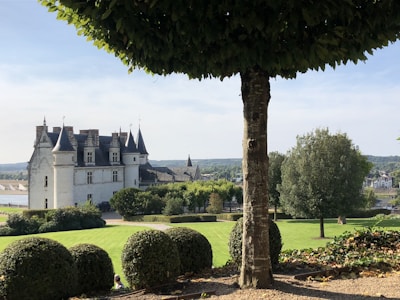 A historic castle surrounded by lush green gardens.